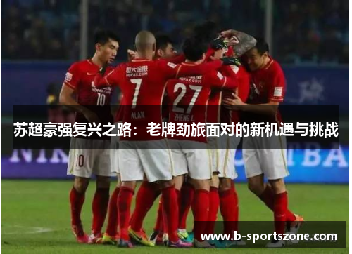 苏超豪强复兴之路：老牌劲旅面对的新机遇与挑战
